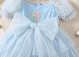 Adorable Light Blue Embroidered Romper Dress