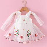 Sweet Strawberry Embroidered Tulle Dress – Pink Fairy Tale Style for Girls