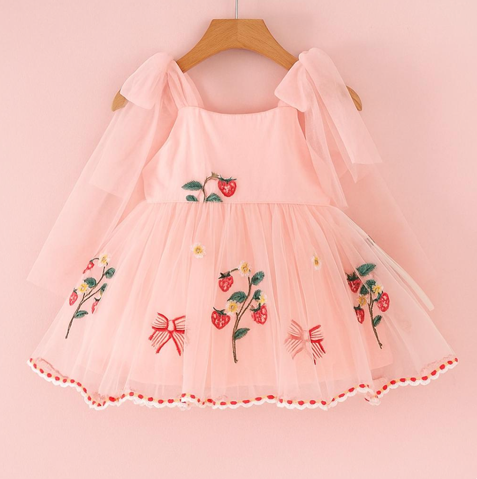 Sweet Strawberry Embroidered Tulle Dress – Pink Fairy Tale Style for Girls