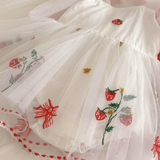 Sweet Strawberry Embroidered Tulle Dress – Pink Fairy Tale Style for Girls